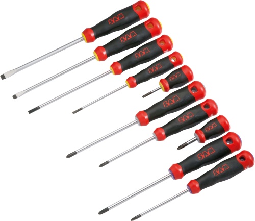 Jeu de 10 tournevis S1 Ft Phillips et Pozidrive