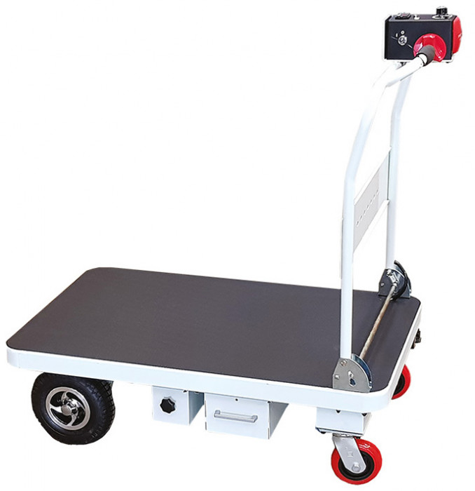 Plateforme motorisée 200 kg 1000 x 600 mm